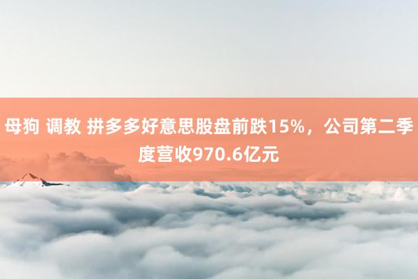 母狗 调教 拼多多好意思股盘前跌15%，公司第二季度营收970.6亿元