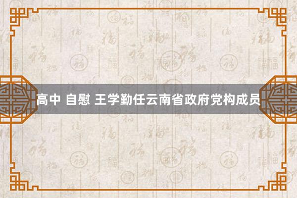 高中 自慰 王学勤任云南省政府党构成员