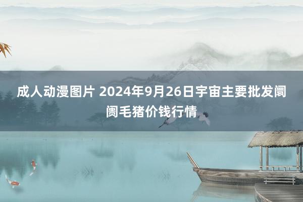 成人动漫图片 2024年9月26日宇宙主要批发阛阓毛猪价钱行情