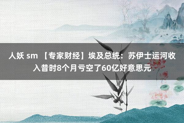 人妖 sm 【专家财经】埃及总统：苏伊士运河收入昔时8个月亏空了60亿好意思元