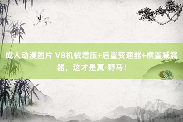 成人动漫图片 V8机械增压+后置变速器+横置减震器，这才是真·野马！