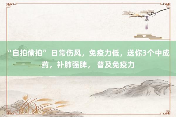 “自拍偷拍” 日常伤风，免疫力低，送你3个中成药，补肺强脾， 普及免疫力