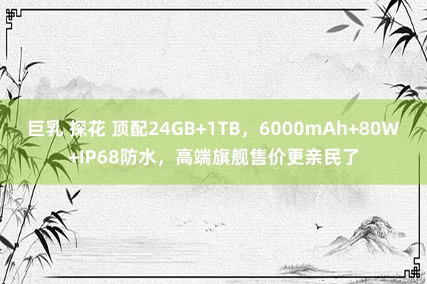 巨乳 探花 顶配24GB+1TB，6000mAh+80W+IP68防水，高端旗舰售价更亲民了