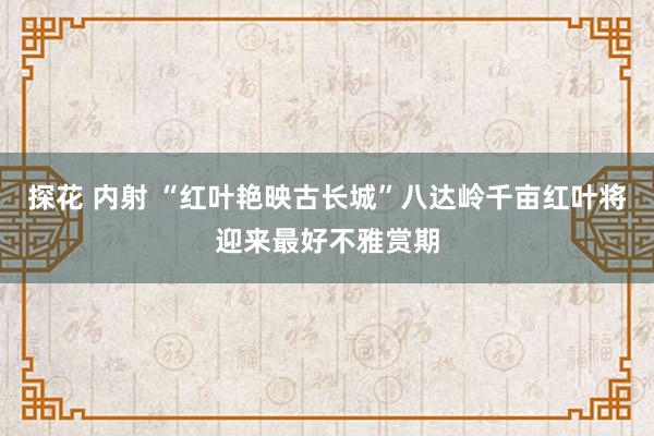 探花 内射 “红叶艳映古长城”八达岭千亩红叶将迎来最好不雅赏期