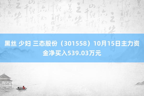 黑丝 少妇 三态股份（301558）10月15日主力资金净买入539.03万元