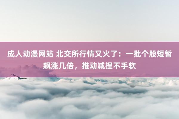 成人动漫网站 北交所行情又火了：一批个股短暂飙涨几倍，推动减捏不手软