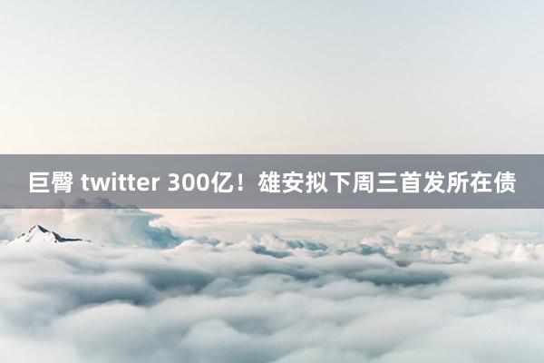 巨臀 twitter 300亿！雄安拟下周三首发所在债