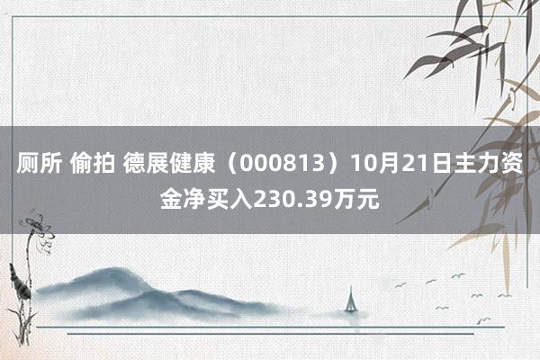 厕所 偷拍 德展健康（000813）10月21日主力资金净买入230.39万元