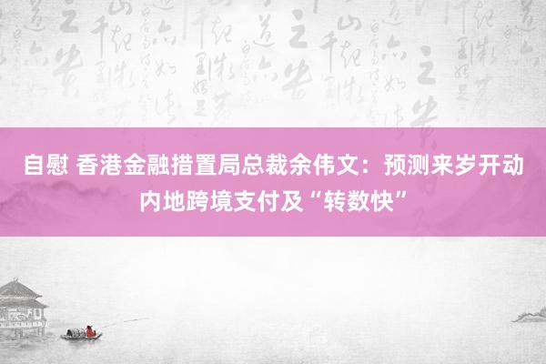 自慰 香港金融措置局总裁余伟文：预测来岁开动内地跨境支付及“转数快”