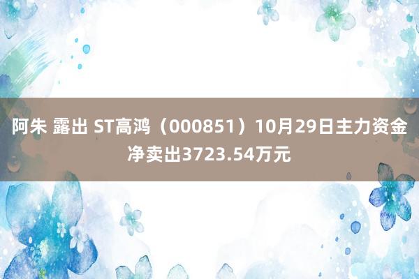 阿朱 露出 ST高鸿（000851）10月29日主力资金净卖出3723.54万元