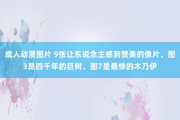 成人动漫图片 9张让东说念主感到赞美的像片，图3是四千年的巨树、图7是最惨的木乃伊