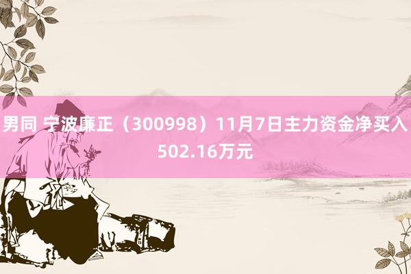 男同 宁波廉正（300998）11月7日主力资金净买入502.16万元