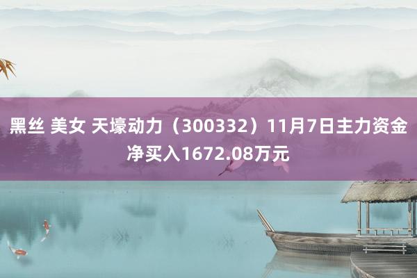 黑丝 美女 天壕动力（300332）11月7日主力资金净买入1672.08万元