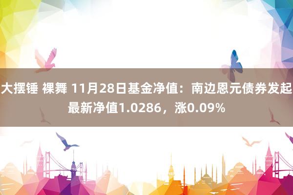 大摆锤 裸舞 11月28日基金净值：南边恩元债券发起最新净值1.0286，涨0.09%