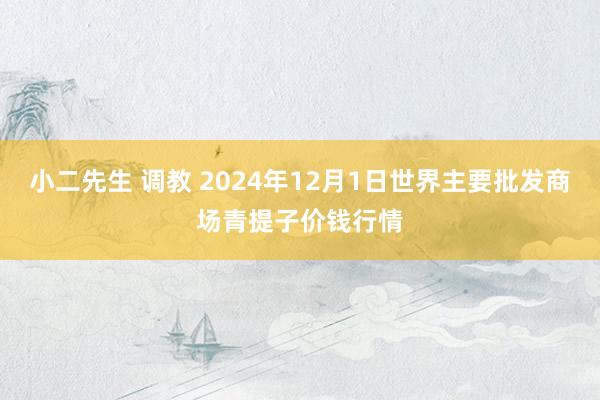 小二先生 调教 2024年12月1日世界主要批发商场青提子价钱行情