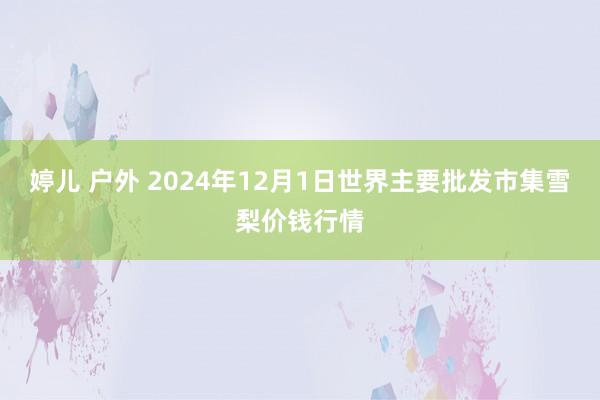 婷儿 户外 2024年12月1日世界主要批发市集雪梨价钱行情