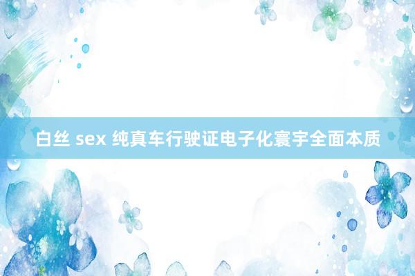 白丝 sex 纯真车行驶证电子化寰宇全面本质