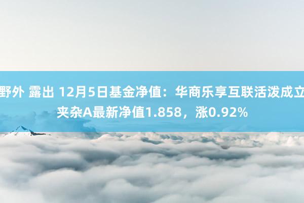 野外 露出 12月5日基金净值：华商乐享互联活泼成立夹杂A最新净值1.858，涨0.92%