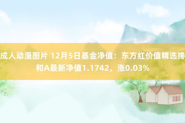 成人动漫图片 12月5日基金净值：东方红价值精选搀和A最新净值1.1742，涨0.03%