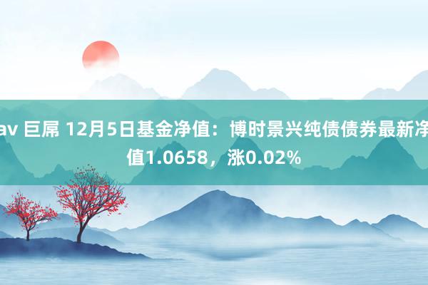 av 巨屌 12月5日基金净值：博时景兴纯债债券最新净值1.0658，涨0.02%