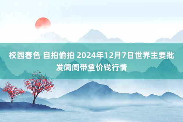 校园春色 自拍偷拍 2024年12月7日世界主要批发阛阓带鱼价钱行情