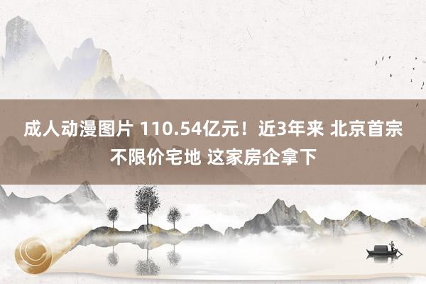 成人动漫图片 110.54亿元！近3年来 北京首宗不限价宅地 这家房企拿下