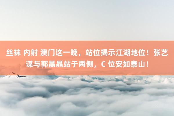 丝袜 内射 澳门这一晚，站位揭示江湖地位！张艺谋与郭晶晶站于两侧，C 位安如泰山！