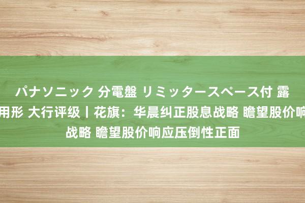 パナソニック 分電盤 リミッタースペース付 露出・半埋込両用形 大行评级丨花旗：华晨纠正股息战略 瞻望股价响应压倒性正面