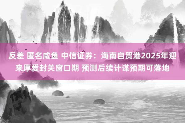 反差 匿名咸鱼 中信证券：海南自贸港2025年迎来厚爱封关窗口期 预测后续计谋预期可落地