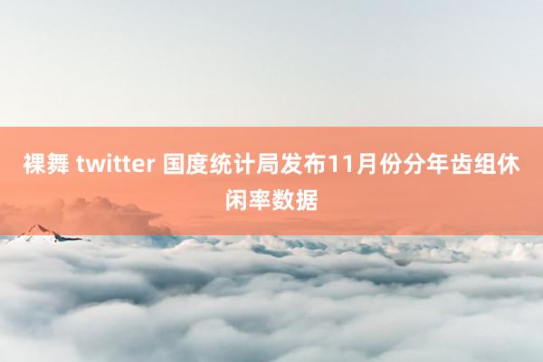 裸舞 twitter 国度统计局发布11月份分年齿组休闲率数据