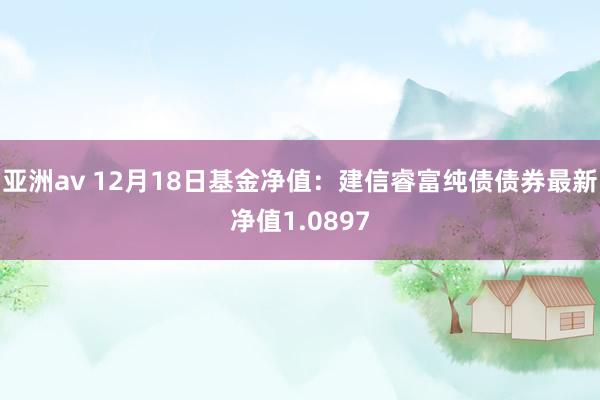 亚洲av 12月18日基金净值：建信睿富纯债债券最新净值1.0897