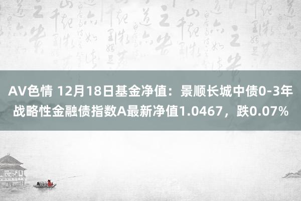 AV色情 12月18日基金净值：景顺长城中债0-3年战略性金融债指数A最新净值1.0467，跌0.07%