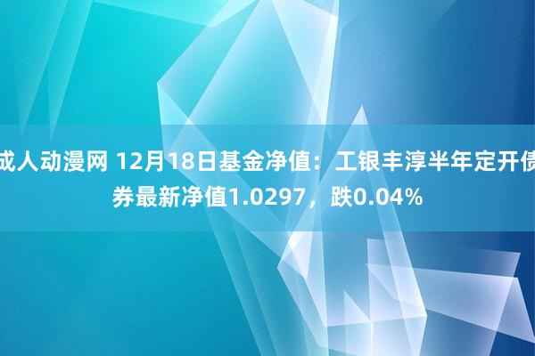 成人动漫网 12月18日基金净值：工银丰淳半年定开债券最新净值1.0297，跌0.04%