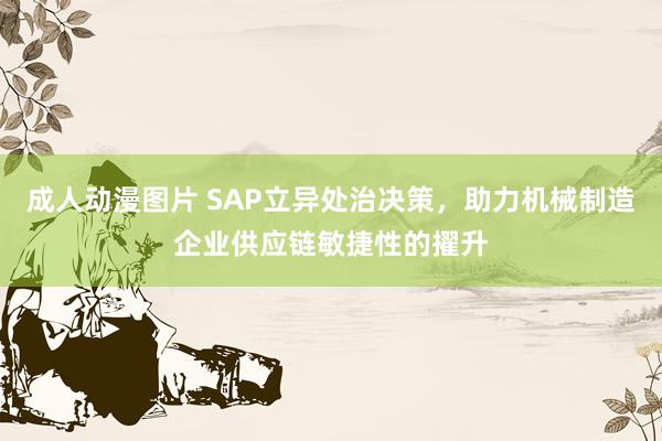 成人动漫图片 SAP立异处治决策，助力机械制造企业供应链敏捷性的擢升