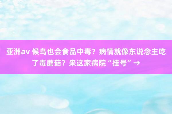 亚洲av 候鸟也会食品中毒？病情就像东说念主吃了毒蘑菇？来这家病院“挂号”→