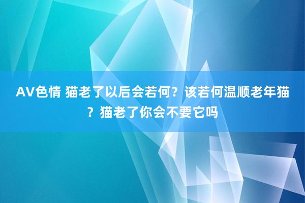 AV色情 猫老了以后会若何？该若何温顺老年猫？猫老了你会不要它吗