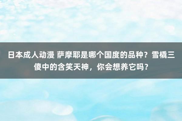 日本成人动漫 萨摩耶是哪个国度的品种？雪橇三傻中的含笑天神，你会想养它吗？