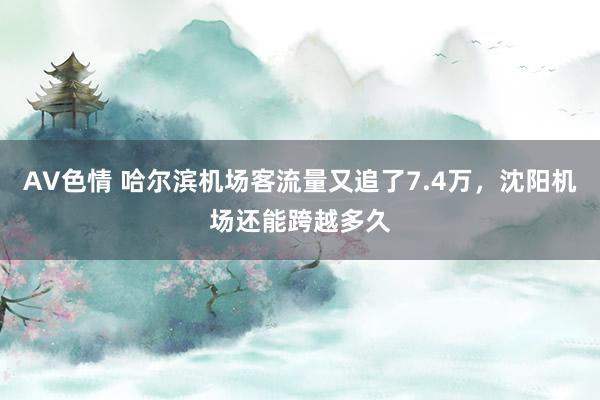 AV色情 哈尔滨机场客流量又追了7.4万，沈阳机场还能跨越多久