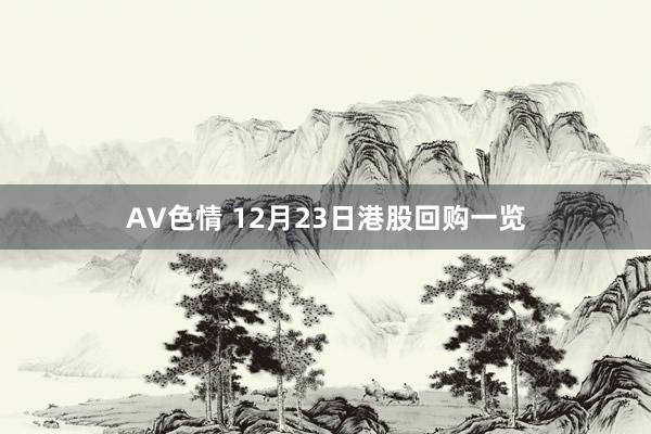 AV色情 12月23日港股回购一览