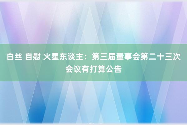 白丝 自慰 火星东谈主：第三届董事会第二十三次会议有打算公告