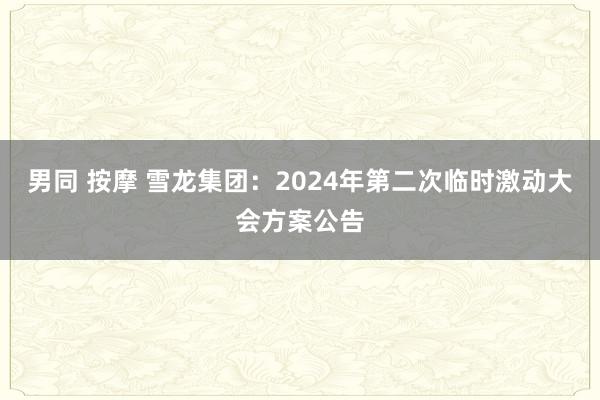 男同 按摩 雪龙集团：2024年第二次临时激动大会方案公告