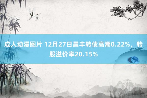 成人动漫图片 12月27日晨丰转债高潮0.22%，转股溢价率20.15%