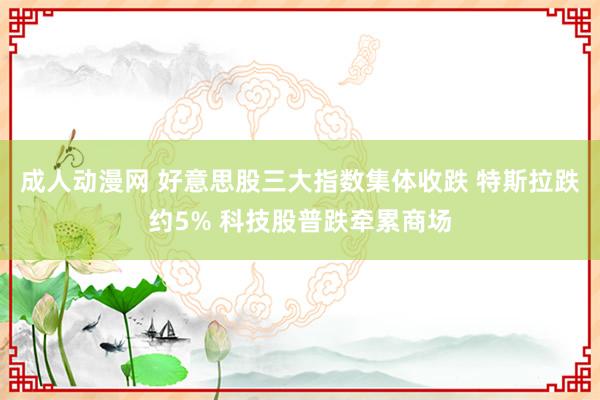 成人动漫网 好意思股三大指数集体收跌 特斯拉跌约5% 科技股普跌牵累商场