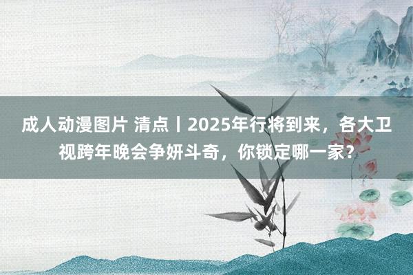 成人动漫图片 清点丨2025年行将到来，各大卫视跨年晚会争妍斗奇，你锁定哪一家？