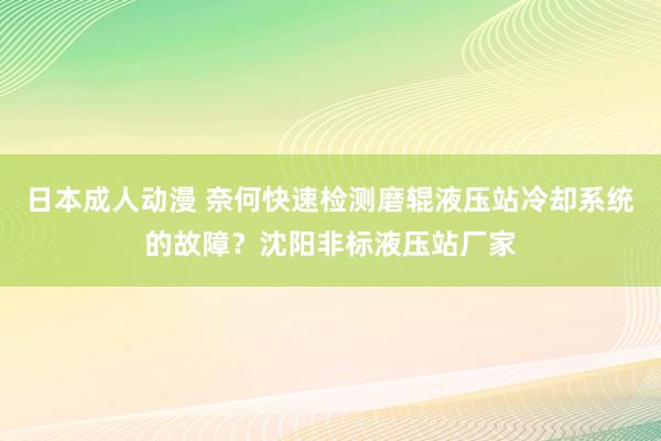 日本成人动漫 奈何快速检测磨辊液压站冷却系统的故障？沈阳非标液压站厂家