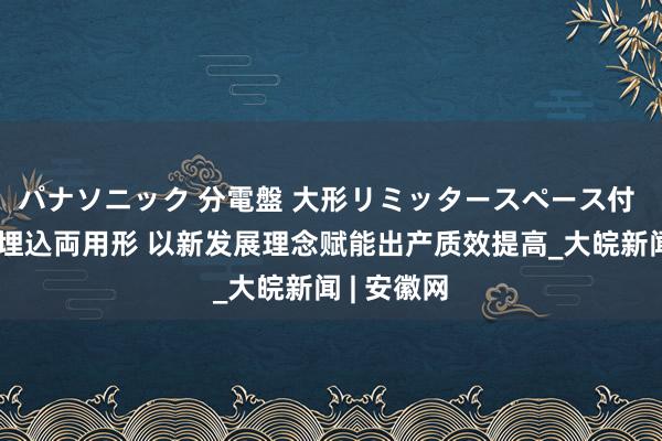 パナソニック 分電盤 大形リミッタースペース付 露出・半埋込両用形 以新发展理念赋能出产质效提高_大皖新闻 | 安徽网