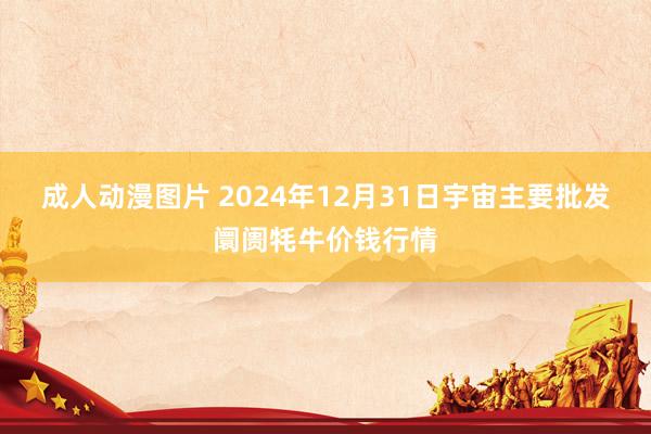 成人动漫图片 2024年12月31日宇宙主要批发阛阓牦牛价钱行情