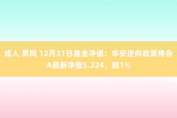 成人 男同 12月31日基金净值：华安逆向政策搀杂A最新净值5.224，跌1%