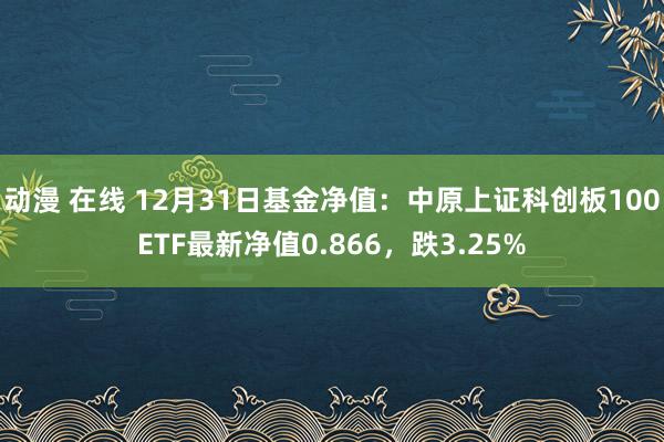 动漫 在线 12月31日基金净值：中原上证科创板100ETF最新净值0.866，跌3.25%