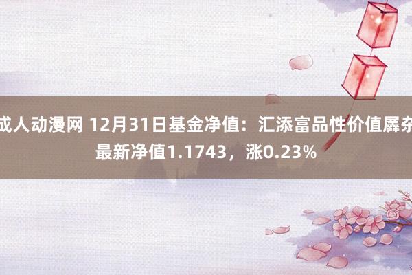 成人动漫网 12月31日基金净值：汇添富品性价值羼杂最新净值1.1743，涨0.23%